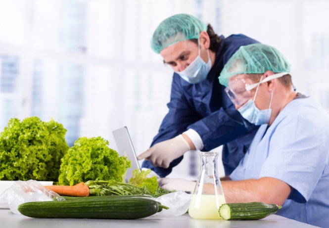 Hệ Thống Lọc Nước RO Sản Xuất Thực Phẩm Tại Bình Định
